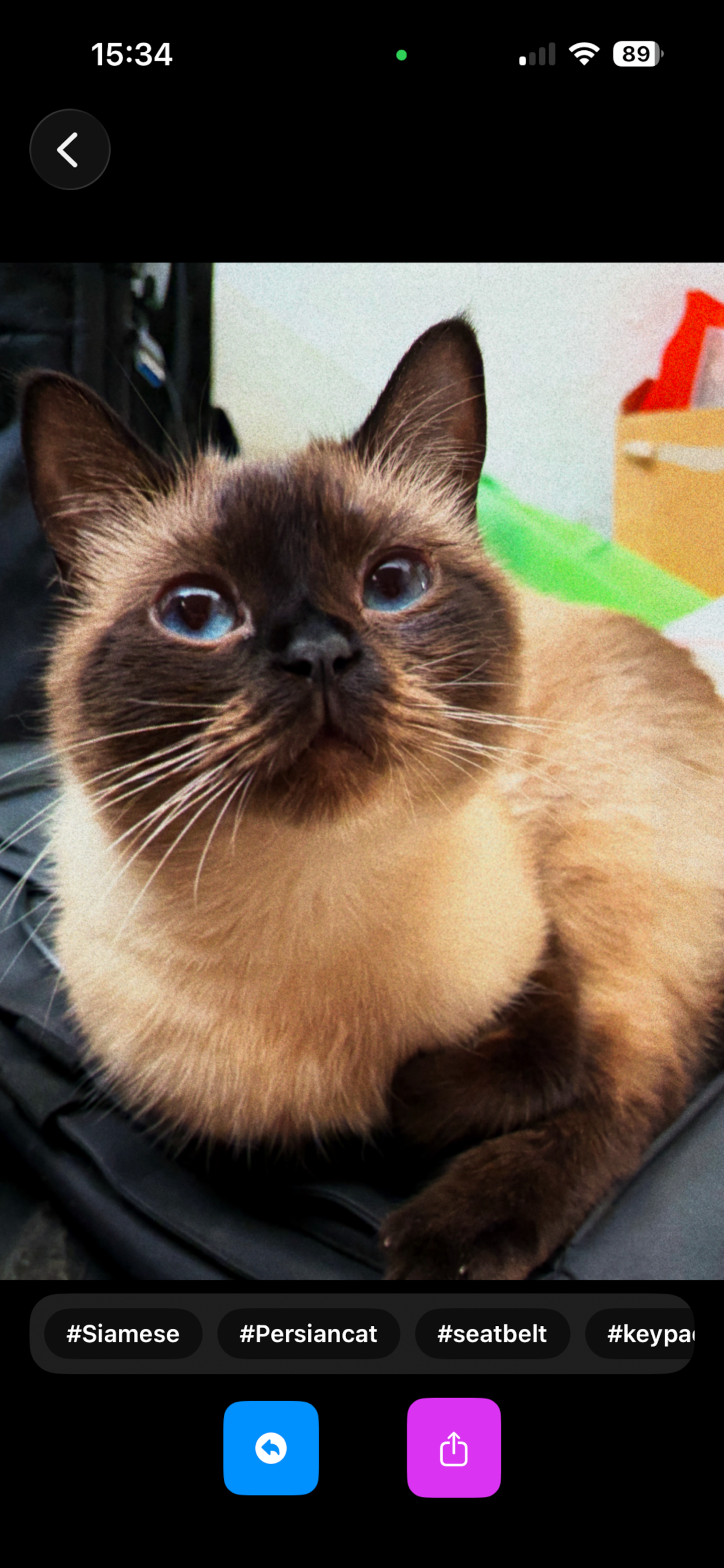 reLux screenshot: low-light depth and shadows